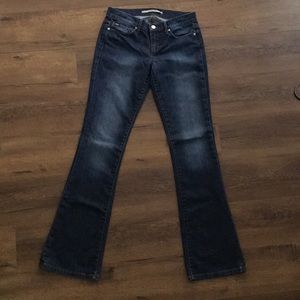 Joe’s Jeans Rocker in Alba Wash